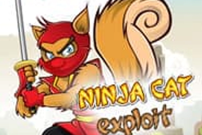 Kot Ninja